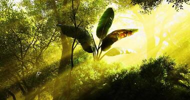 CGI Sunlight filters through dense forest canopy highlighting vibrant leaves video
