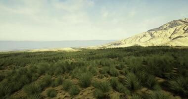 CGI Vast landscape with greenery and mountainous terrain under a clear sky video