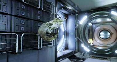 CGI Skull of a ram displayed inside the interior of a space station video