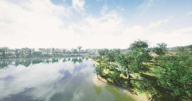 CGI Scenic view of a tranquil lake surrounded by lush greenery in a park video