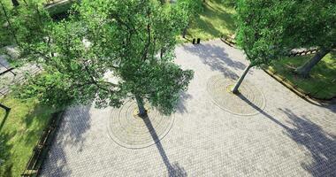 CGI Plentiful greenery and cobblestone pathway in a tranquil park setting video