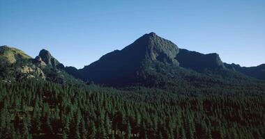 CGI Stunning mountain peak overlooks dense pine forest in clear blue sky video