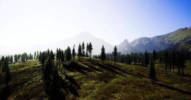 CGI Breathtaking mountain landscape with lush trees and clear sky at dawn video