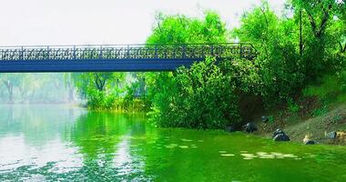 CGI Serene riverbank with lush greenery and a decorative bridge on a sunny day video