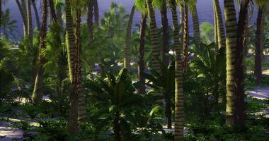 CGI Lush tropical rainforest with vibrant foliage and serene atmosphere video