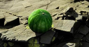 CGI Watermelon resting on rocky terrain near water during daytime video