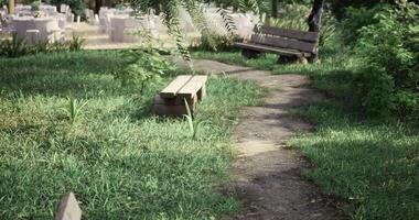 CGI Scenic park path bordered by greenery and wooden benches in warm daylight video