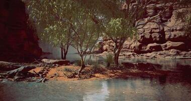 CGI Serene landscape with water and trees in a rocky enclosure during daylight video