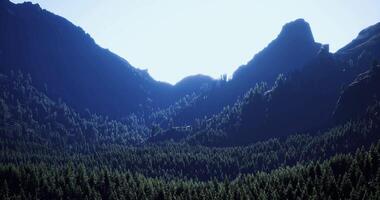 CGI Exploration of mountain range with dense forest under bright sunlight video