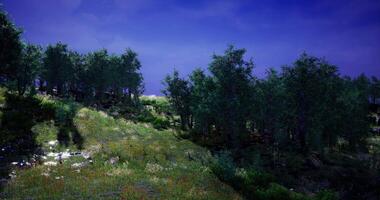 CGI Lush green hillside under a clear blue sky with trees and wildflowers video