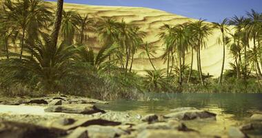 CGI Desert oasis with palm trees and sandy dunes under clear blue sky video