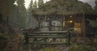 CGI Rustic wooden cabin in a forested area with natural surroundings and soft light video