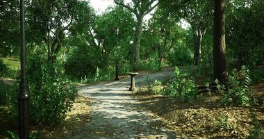 CGI Pathway through a vibrant park surrounded by lush greenery and sunlight video