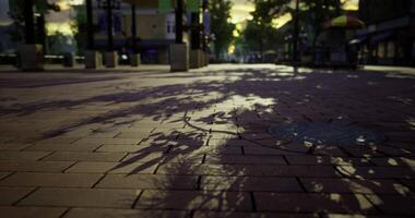 CGI Shadows of trees cast on an empty plaza during sunset in an urban area video