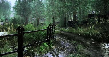 CGI Serene forest path with lush greenery and puddles video