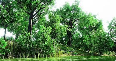 CGI Lush green forest surrounding a tranquil water body in bright daylight video