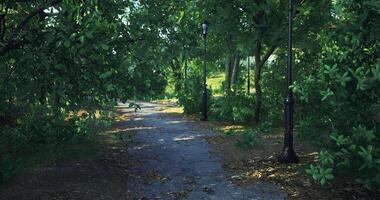 CGI Scenic pathway through a lush green park on a sunny day video