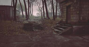 CGI Winding path through abandoned urban area with trees and overgrown vegetation video