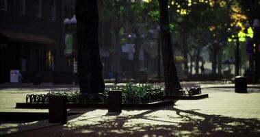 CGI Lively city street with trees casting shadows during late afternoon video