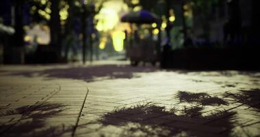 CGI Pathway illuminated by soft light with shadows from trees and bushes video
