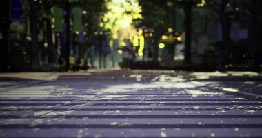 CGI Vibrant urban scene with sunlit trees and empty street during daytime video