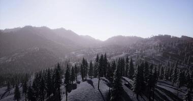 CGI Winter landscape with mountains and pine trees under clear sky video