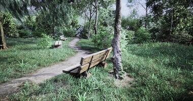 CGI Serenity of a secluded park with benches along a winding path in nature video