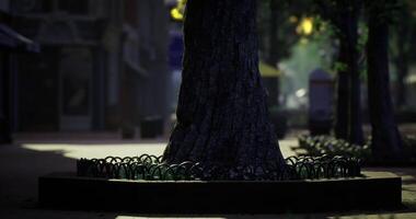 CGI Sunlight filters through trees in a quiet urban park setting video