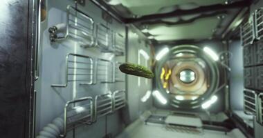 CGI Floating food item within the International Space Station during an experiment video