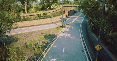 CGI Winding path through a lush urban park during daylight hours video