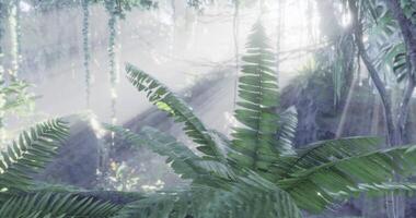 CGI Lush greenery and sunlight illuminate a serene forest in early morning hours video