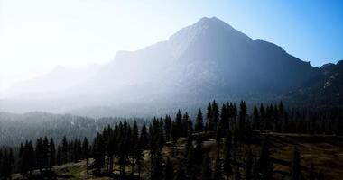 CGI Majestic mountain view with towering trees and expansive landscape at dawn video