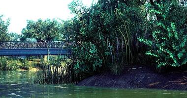 CGI Lush greenery with a bridge over calm water in a serene natural environment video