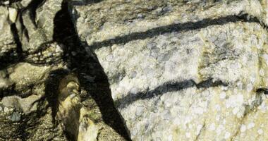 CGI Natural textures of rocks and shadows in a sunlit outdoor setting video