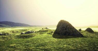 CGI Expansive green landscape with rocks under soft sunlight near hills video