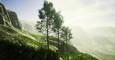 CGI Lush green landscape with trees under a bright sky in the mountains video