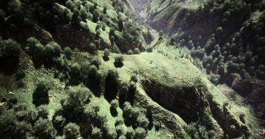 CGI Lush green hills and valleys under bright sunlight in a mountainous region video