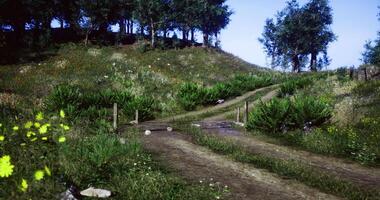CGI Path through a serene landscape with lush greenery and gentle hills video