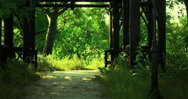 CGI Serene pathway through lush green forest with wooden structure video