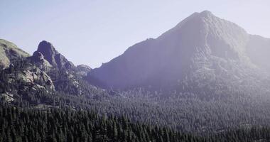 CGI Majestic mountain landscape with vast evergreen trees under clear sky video
