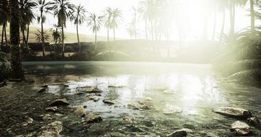 CGI Serene oasis with palm trees and sunlight reflecting on calm water video