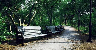CGI Serenity around green benches under trees in a tranquil park setting video