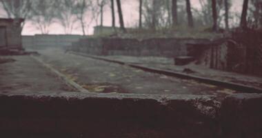 CGI Misty landscape with stone pathways and bare trees in a quiet area video