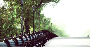 CGI Serene park walkway lined with benches and lampposts during daylight hours video