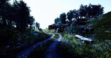 CGI Winding dirt path through lush forest with vibrant greenery and distant rocks video