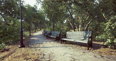 CGI Park with benches surrounded by greenery and a walking path in daylight video