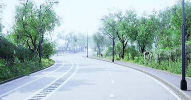 CGI Quiet winding road surrounded by lush greenery in a tranquil setting video