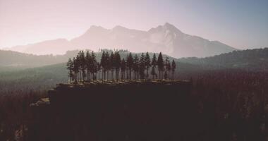 CGI Pine trees thrive on rocky outcrop with mountains in the background during dusk video