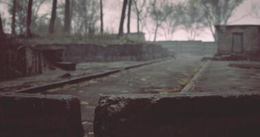 CGI Ruins of an abandoned structure in a misty landscape during autumn video