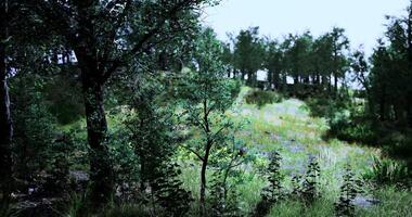 CGI Lush green landscape with trees and wildflowers in a tranquil setting video